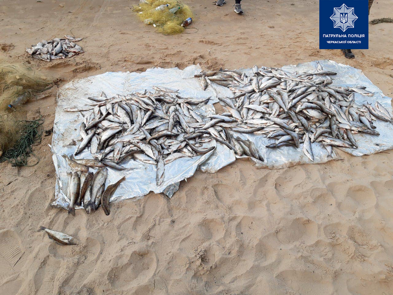 вилучена риба