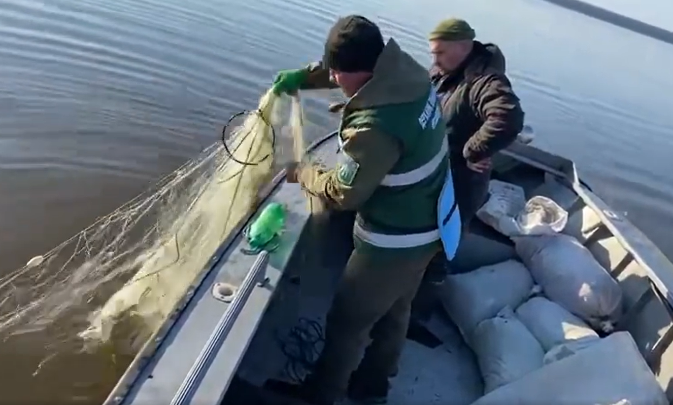 сітки еконспекція