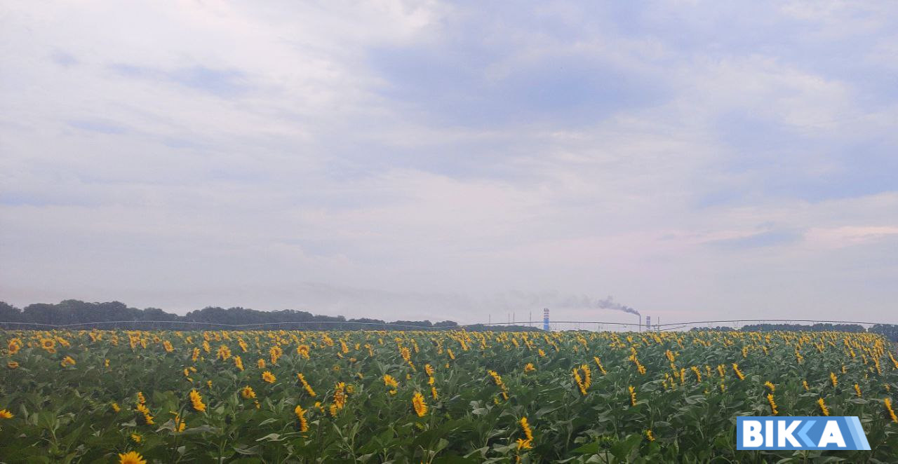 погода Черкаси