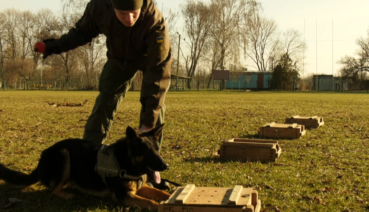 кінологи національна гвардія