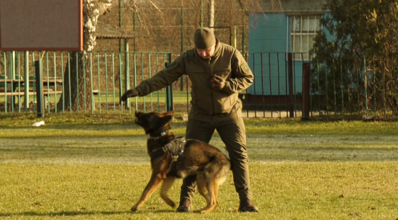 кінологи національна гвардія