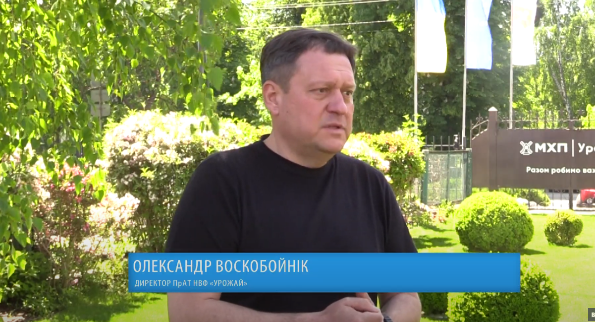 Олександр Воскобойнік